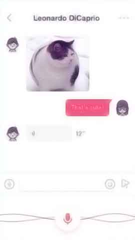 免费ddos攻击网页端软件程序维护界面